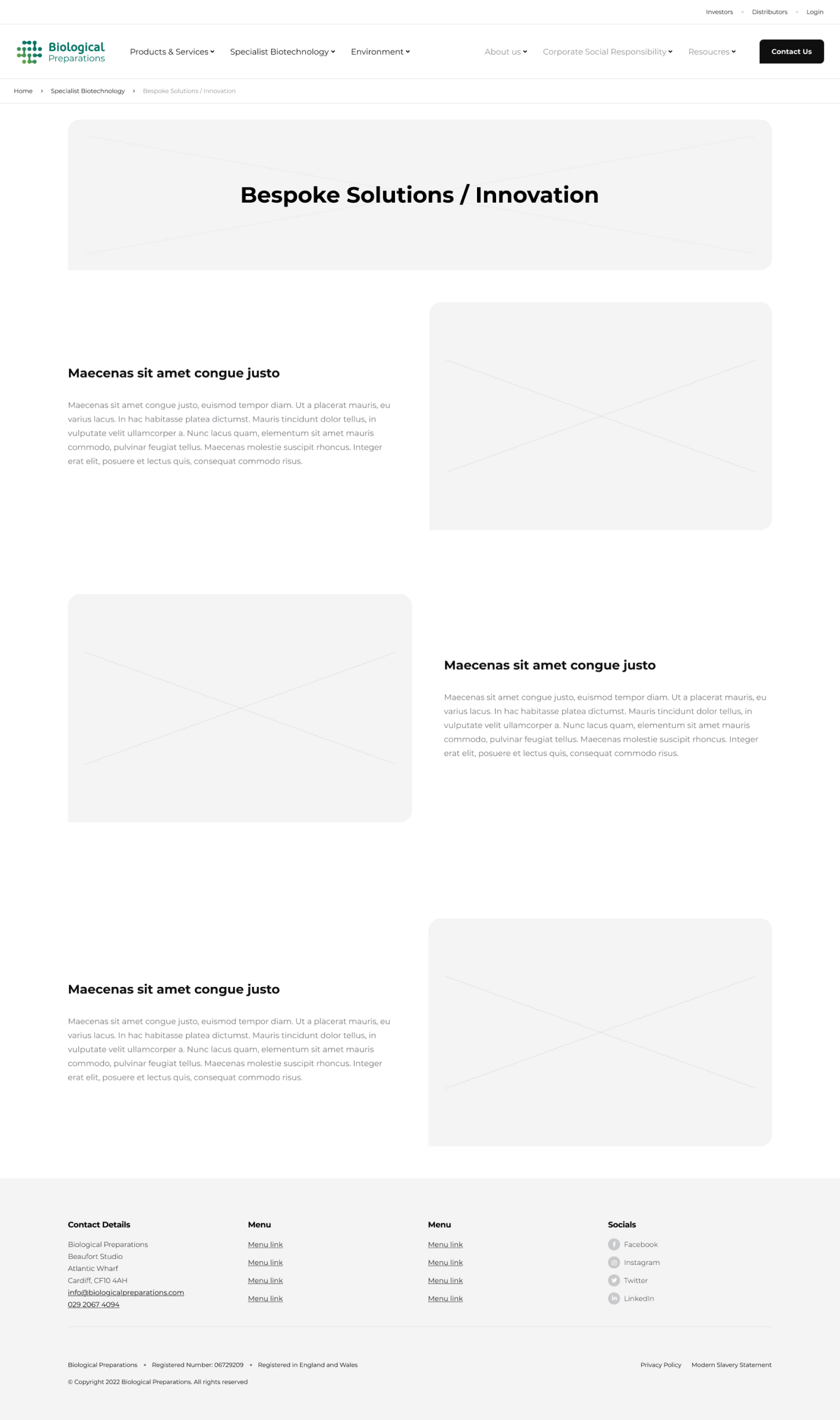 Wireframe